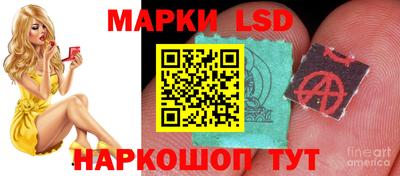 спиды Будённовск