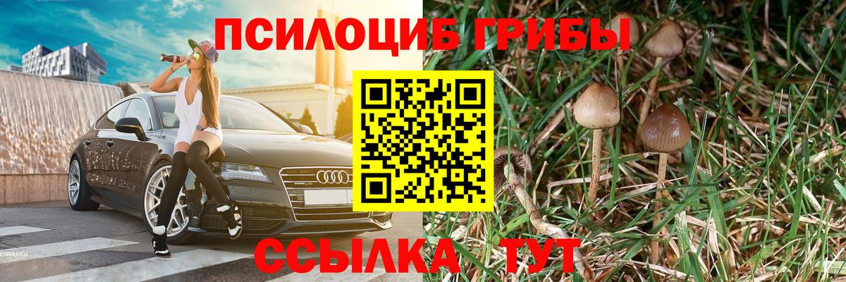 Новочеркасск  Псилоцибиновые грибы Magic Shrooms  Вход с VPN 