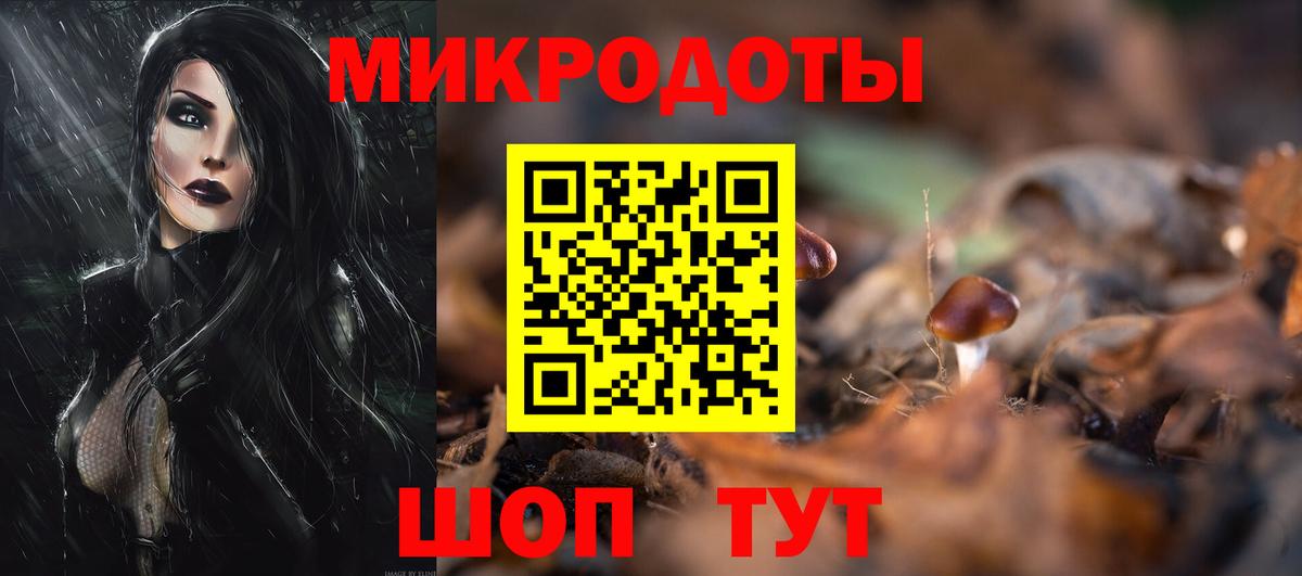 Псилоцибиновые грибы Psilocybe Новочеркасск